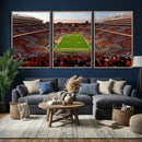 Tennessee Neyland Stadium Wall Art, Sports Arena Canvas by MyGreatCanvas | Canvas Wall Art Prints | Photo Prints & Wall Decor