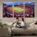 Dooley Stadium Wall Art, Sports Arena Canvas Print, Dooley by MyGreatCanvas | Canvas Wall Art Prints | Photo Prints & Wall Decor