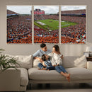 Jordan-Hare Stadium Wall Art Canvas Print, College Sports by MyGreatCanvas | Canvas Wall Art Prints | Photo Prints & Wall Decor
