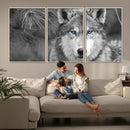 Wild Wolf Blue Eye Wall Art Canvas Print