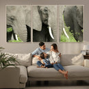 Wild Elephant Wall Art Canvas Print by MyGreatCanvas | Canvas Wall Art Prints | Photo Prints & Wall Decor
