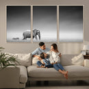 Elephand and Zebra Wall Art Canvas Print, Modern Artwork