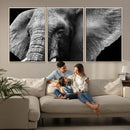 Big Elephant Close Up Wall Art Canvas Print