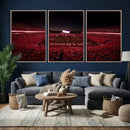 Sanford Stadium Wall Art Canvas Print – Georgia Bulldogs by MyGreatCanvas | Canvas Wall Art Prints | Photo Prints & Wall Decor