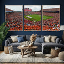 Auburn Stadium Wall Art Canvas Print, Jordan Hare Stadium by MyGreatCanvas | Canvas Wall Art Prints | Photo Prints & Wall Decor