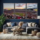 Donald W. Reynolds Razorback Stadium Wall Art Canvas Print – by MyGreatCanvas | Canvas Wall Art Prints | Photo Prints & Wall Decor