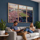 Ole Miss Rebels Vaught Hemingway Stadium Wall Art Canvas