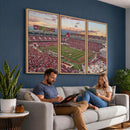 Donald W. Reynolds Razorback Stadium Wall Art Canvas Print –