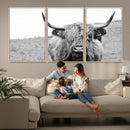 Newfoundland Cow Art Wall Art, Black White Cow Art Wall Art