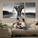Black and White Elephant Wall Art Canvas Print