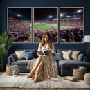 Washington-Grizzly Stadium Canvas Print, American Football
