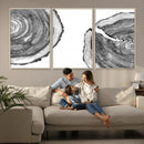 Abstract Large Tree Rings – Minimalist Black and White Wood