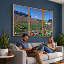University of Missouri Tigers Football Team Print - Columbia