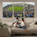 Boca Juniors Soccer Team Print Wall Art - Buenos Aires