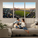 Boca Juniors Soccer Team Print - Buenos Aires Bombonera