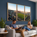 Boca Juniors Soccer Team Print - Buenos Aires Bombonera