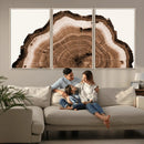 Rustic Wood Rings Wall Art | Nature-Inspired Tree Ring