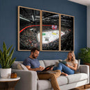 Vaudoise Lausanne Ice Hockey Arena Stadium Wall Art Canvas,