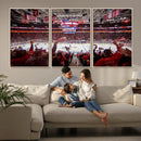 Carolina Hurricanes Ice Hockey Stadium Wall Art, Carolina