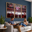 Carolina Hurricanes Ice Hockey Stadium Wall Art, Carolina