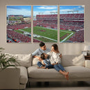 Florida Tampa Raymond James Stadium Wall Art Canvas Print -