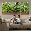 Framed Angel Oak Tree Wall Art - 3-Panel Canvas Prints,