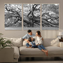 Black White Angel Oak Tree Wall Art - Timeless