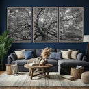 Majestic Angel Oak Tree Black and White Canvas Print – Multi