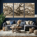 Sepia Framed Angel Oak Tree Wall Art - 3-Panel Canvas