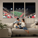 Houston Cougars Football Team Print - Houston TDECU Stadium