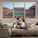 Framed Texas Memorial Stadium Canvas, University of Texas
