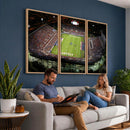 Florida Atlantic University Owls Football Team Print - Boca