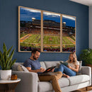 University of Illinois Fighting Illini Football Team Print -