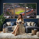 University of Michigan Wolverines Football Team Print - Ann