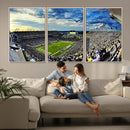 Framed USF Bulls Football Team Print - Tampa Raymond James by MyGreatCanvas | Canvas Wall Art Prints | Photo Prints & Wall Decor
