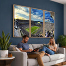 Framed USF Bulls Football Team Print - Tampa Raymond James
