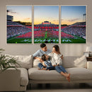 NC State Wolfpack Football Team Print Wall Art - Raleigh
