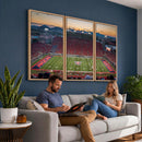 Arizona Wildcats Football Team Print - Tucson Arizona