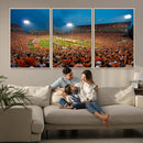 Clemson University Tigers Football Team Print - Clemson