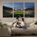Michigan State Spartans Football Team Print - East Lansing