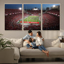 Ohio State University Buckeyes Football Team Print -