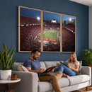 Ohio State University Buckeyes Football Team Print -