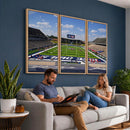 Rice University Owls Football Team Print - Houston Rice