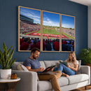 Ball State Cardinals Football Team Print - Muncie Scheumann