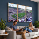 The Texas Christian University TCU Horned Frogs Football