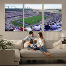 The Texas Christian University TCU Horned Frogs Football