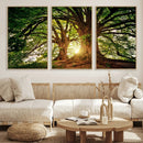 Majestic Ancient Tree Wall Art, NatureCanvas Print, Woodland by MyGreatCanvas | Canvas Wall Art Prints | Photo Prints & Wall Decor