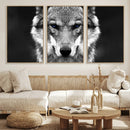 Black and White Wild Wolf Wall Art Canvas Print