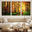 Sunlight Through Trees Wall Art Canvas Print - Autumn Forest