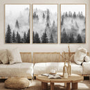 Forest Wall Art Print | Foggy Pine Forest Canvas Wall Art -